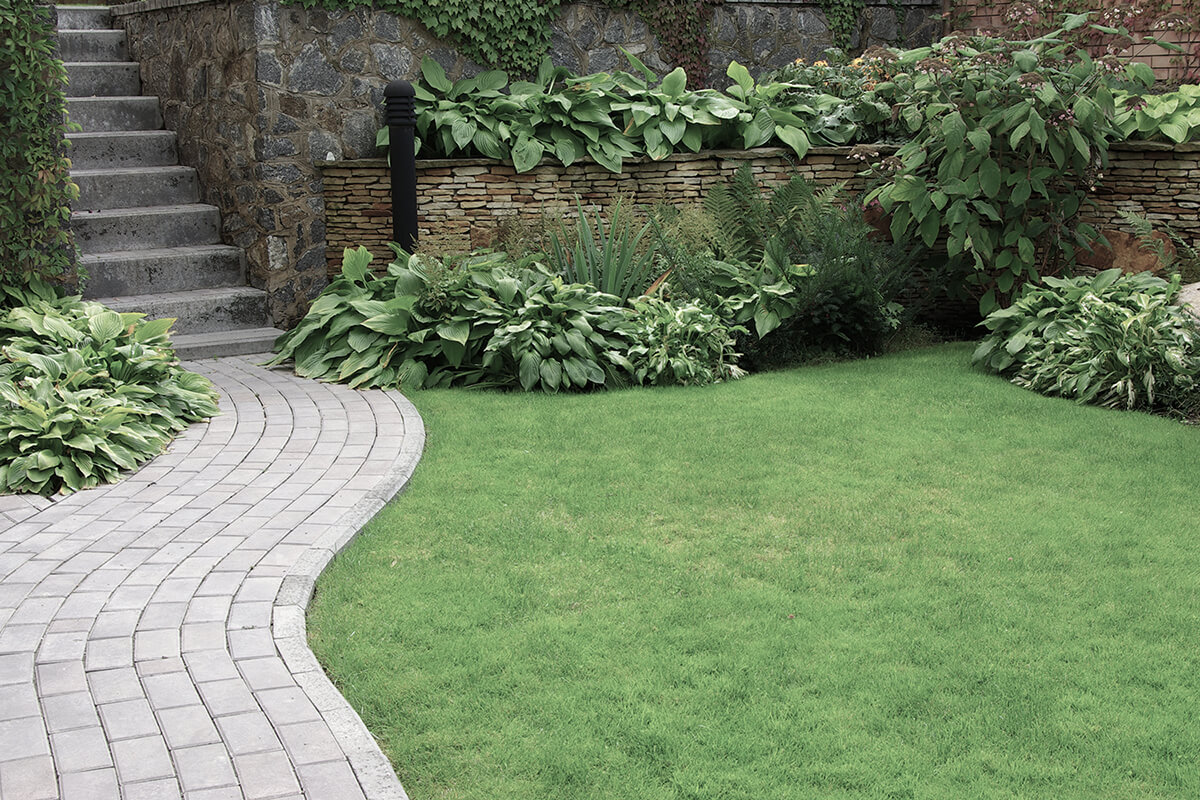 Welcome to Local Landscpaing